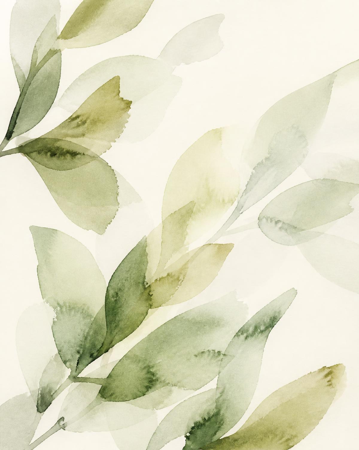 Watercolour botanical study in sage and olive